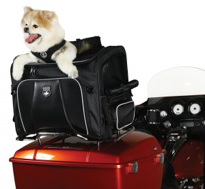 Photo of Rover on Red Harley Davidson - Top Open, dog popping head out